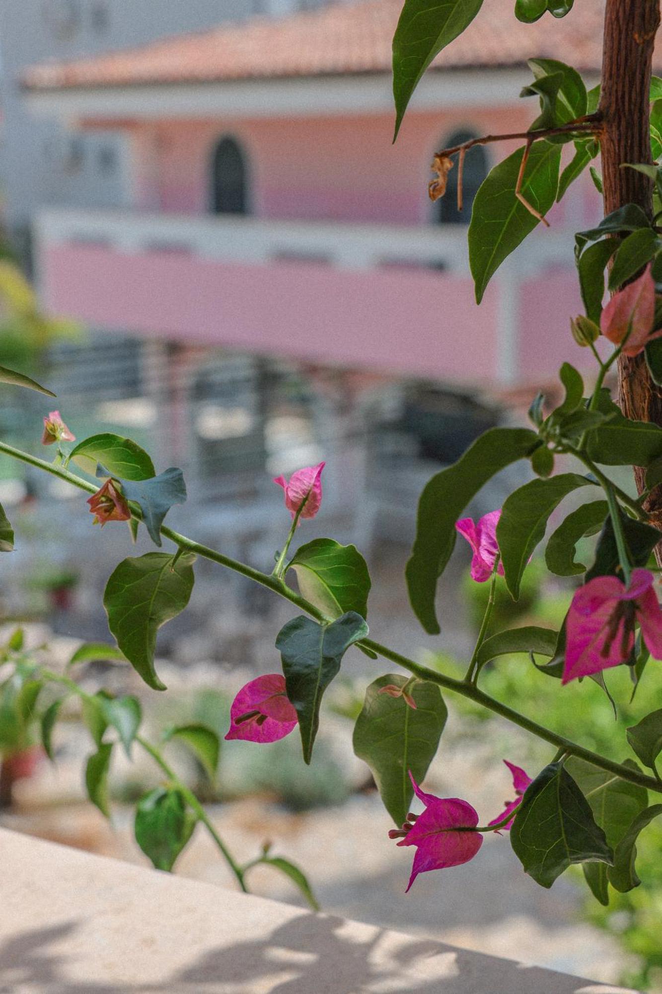 Casa Selimi Hotel Ulcinj Buitenkant foto